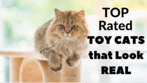 Toy Cats that Look Real